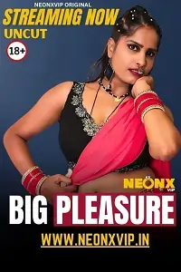 Big Pleasure 2025 Hindi Short Film HD